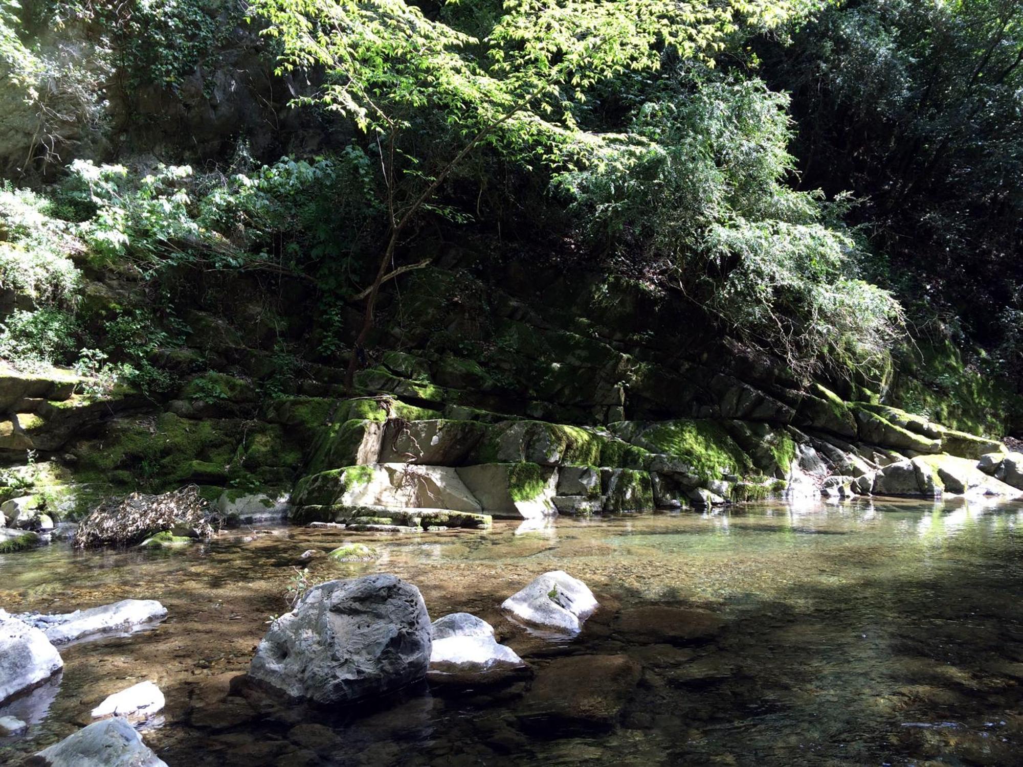 Camping Domaine Sainte Madeleine سوسبيل المظهر الخارجي الصورة