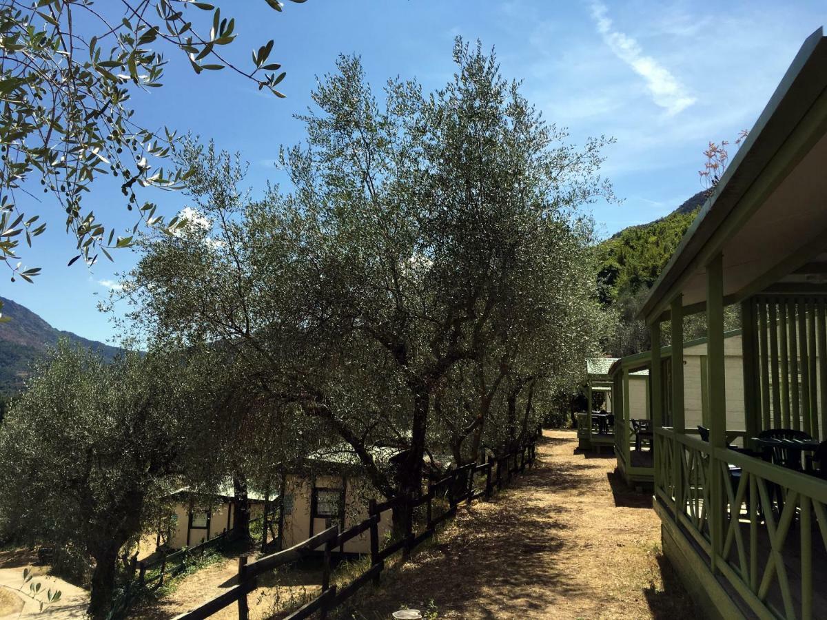 Camping Domaine Sainte Madeleine سوسبيل المظهر الخارجي الصورة